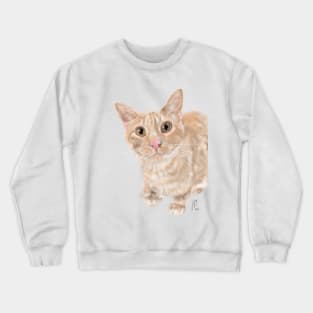 A Friendly Orange Kitty Crewneck Sweatshirt